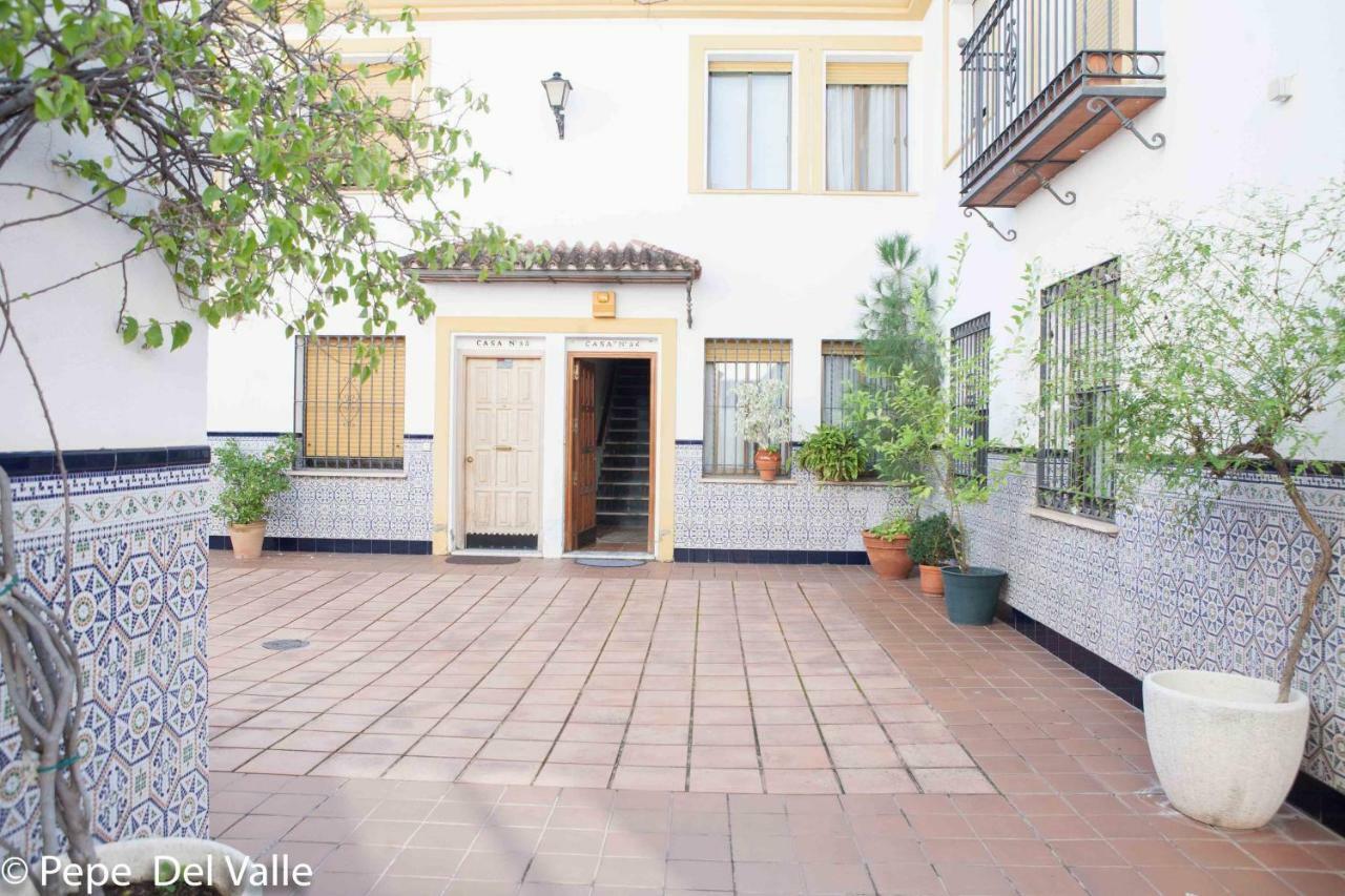 Los Patios “ El Carmen”, Cordoba